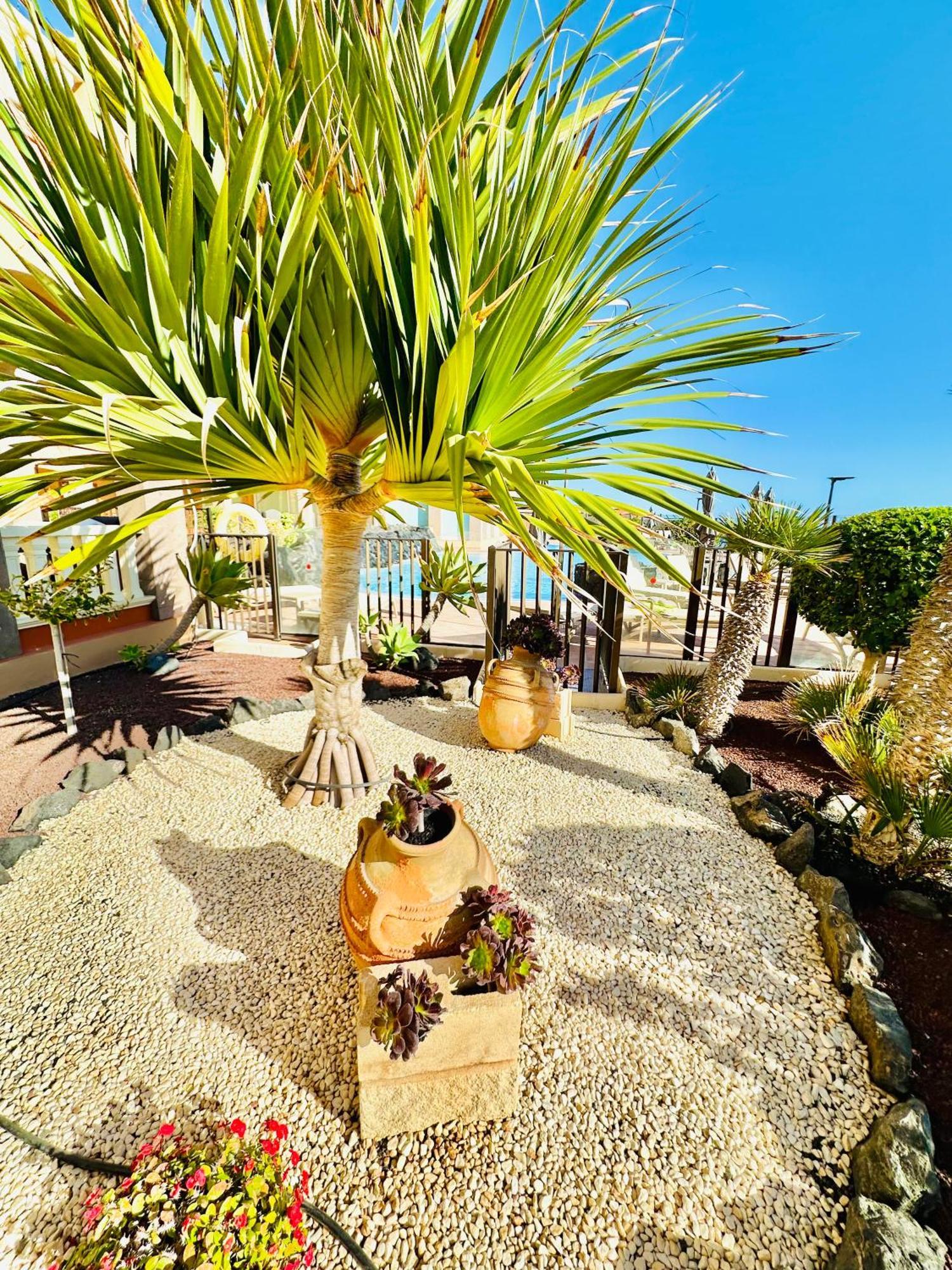 El Nautico Apartment San Miguel de Abona Extérieur photo