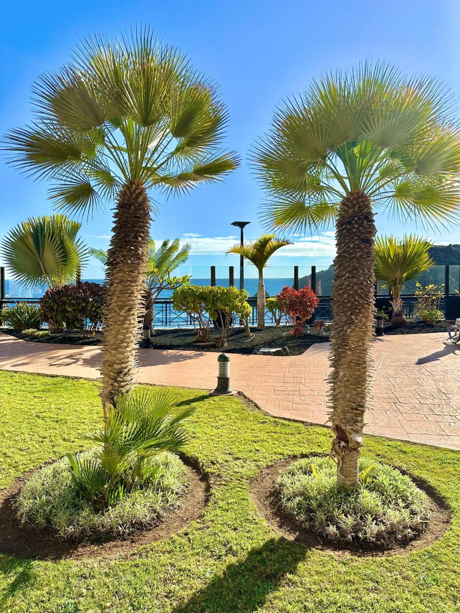 El Nautico Apartment San Miguel de Abona Extérieur photo
